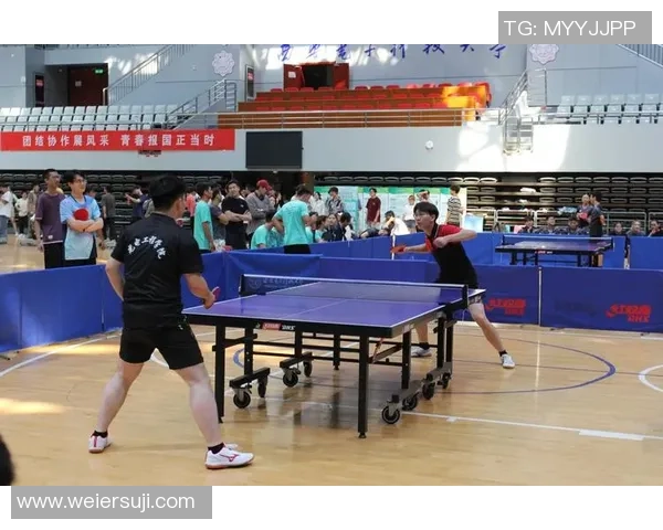 西安乒乓球队团队协作变革引发热议与关注